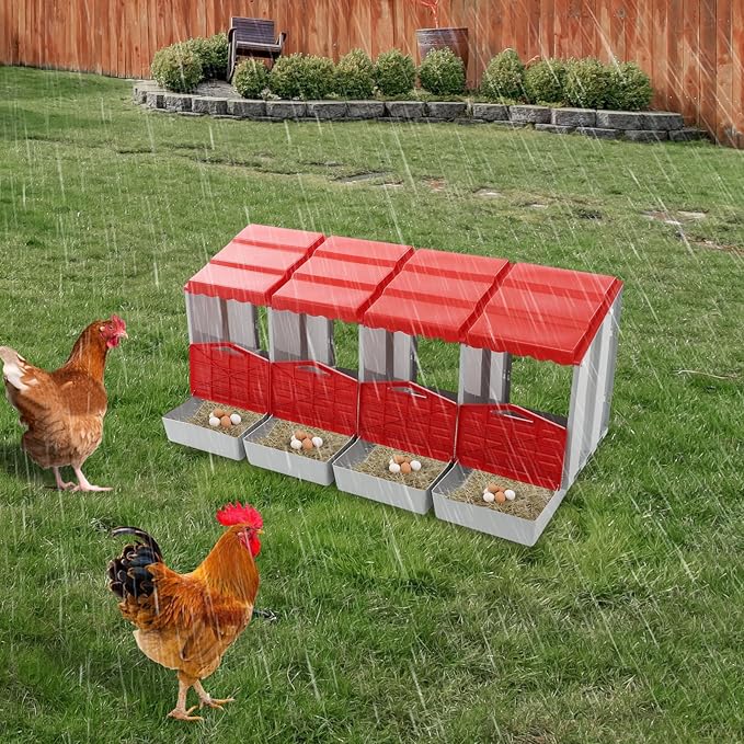 Chicken Nesting Box, 4 Compartments PP Nesting Box, Wall Mountable Nesting Boxes with Inclined Top, Drain Holes & Resting Platform for Chicken and Poultry to Collect Eggs