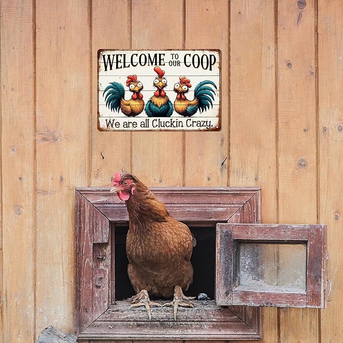 Welcome to Our Coop Sign We Are All Cluckin Crazy Metal Tin Sign Farmhouse Kitchen Coop Decor Funny Novelty Chicken Coop Accessories Farm Wall Decor 8x12 Inch