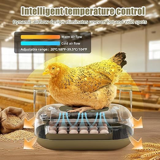 XOTTI Incubator for Hatching Eggs, 24 Egg Incubator with Precise Temperature Control, Auto Egg Turner, 360° Clear View, LED Candler, Alarm for Chicken Duck Quail Goose for Home School Farm Lab