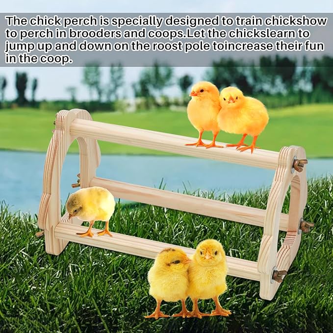 Chicken Feeder and Waterer Kit with Baby Chicken Perches Freestanding Roosting Bar Wooden Chicken Jungle Gym Bar Baby Chick Stand Training Perch Chicken Toys Chick Perch for Brooder Coop Hens