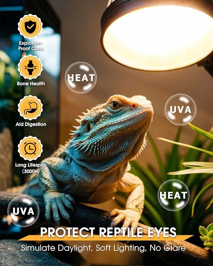 EvaStary Reptile Heat Bulb, 100W Simulated Natural Daylight Reptile Basking Spot Light Bulbs, UVA Reptile Heat Lamp Bulbs for Reptiles, Bearded Dragon, Lizard, Amphibian, Turtle, Snake, Chicken, 2Pack