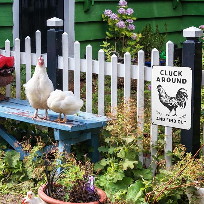 Chicken Coop Signs, Funny Chicken Signs, Metal Garden Signs for Home Farm Farmhouse Kitchen Garden Decor, Vintage Chicken Coop Accessories Gifts for Hen Rooster Lovers