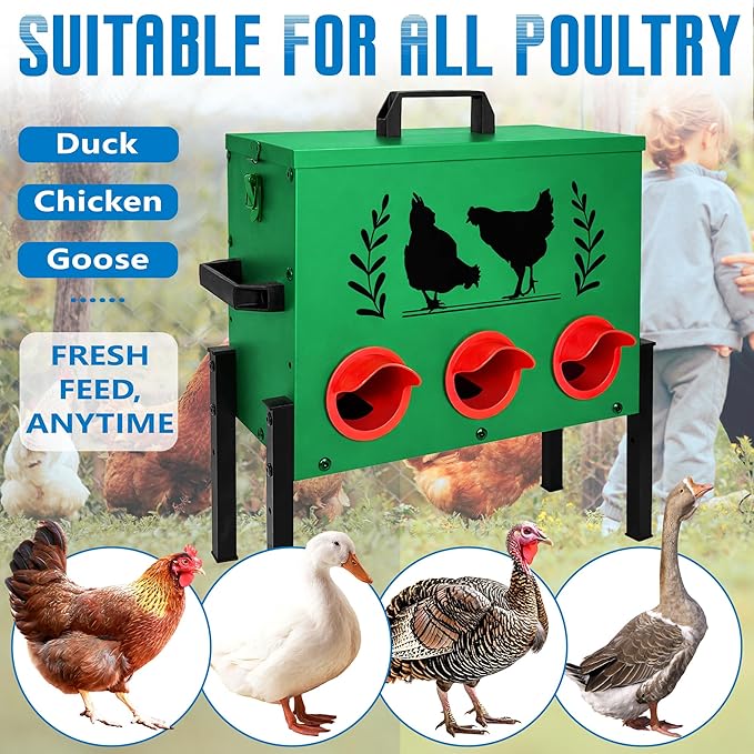 Chicken Feeders, 30 lb Capacity 6 Port Automatic Chicken Feeder, Metal Chick Feeders with Locking Lid and Legs, Chicken Feeder for Chickens, Ducks, Geese, Green