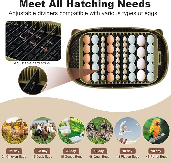 Incubators for Hatching Eggs,Smart 24 Egg Incubator with Automatic Egg Turning and Humidity Control,High Hatch Rate Incubator for Chicken Duck Quail Goose,Home Classroom and Farm (Brown)