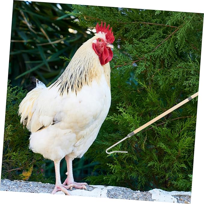 Chicken Catcher Tool Hanging Feeder Leg Hook for Poultry Catching Farm Equipment