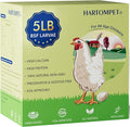 5LB Dried Black Soldier Fly Larvae, Non-GMO & Nutrient-Packed Chicken Feed, Strong Egg Production and Health, Rich in Calcium for Healthy Hens & Ducks, 80X Calcium vs Mealworms