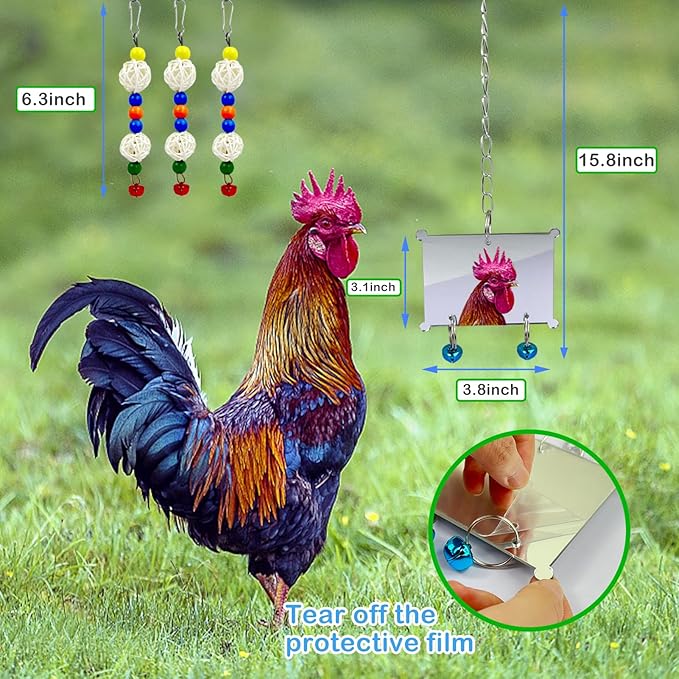Chicken Toys for Hens, 10 Pack Chicken Toys for Coop, Chicken Mirror Swing Xylophone, Colorful Ladder and Small Toys for Chicken, Vegetable Fruits Hanging Feeder for Chicken Coop Accessories
