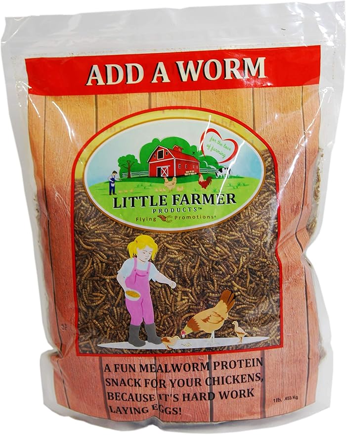 Add a Worm | Dried Mealworms Premium Poultry Treat for Chickens | 1 lb
