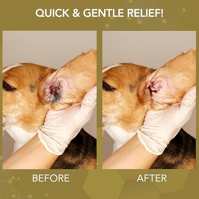 NOVEHA Dog Ear Cleaner Solution - Ear Infection Treatment for Dogs - Hypochlorous Acid Ear Cleanser Spray - Soothes Itchiness, Cleans Ear Canal & Controls Odor - 8 Oz