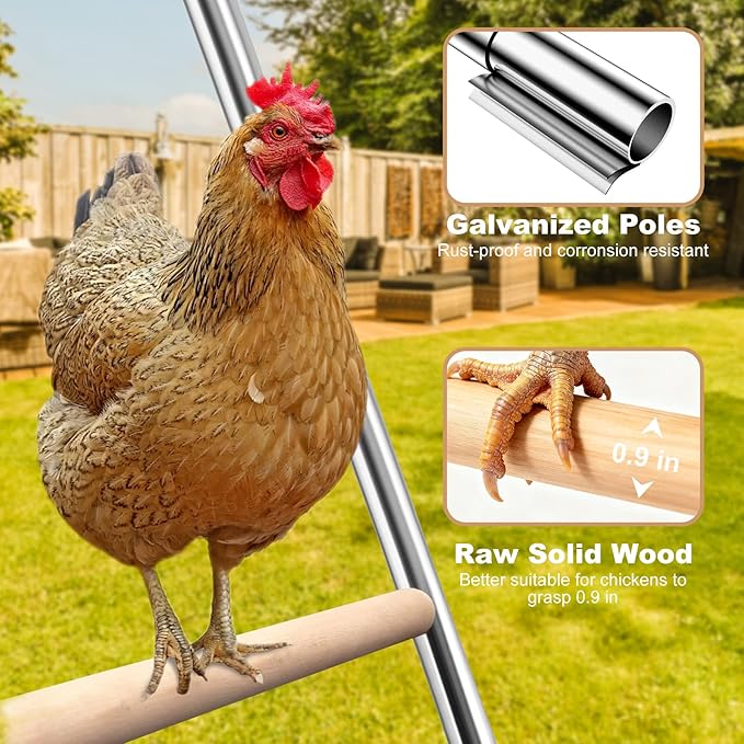 Chicken Perch for Coop, 41" W x 55" L, Chicken Roosting Bars, Toys Roost Ladder for Backyard Poultry, Funny Chicken Coop Accessories