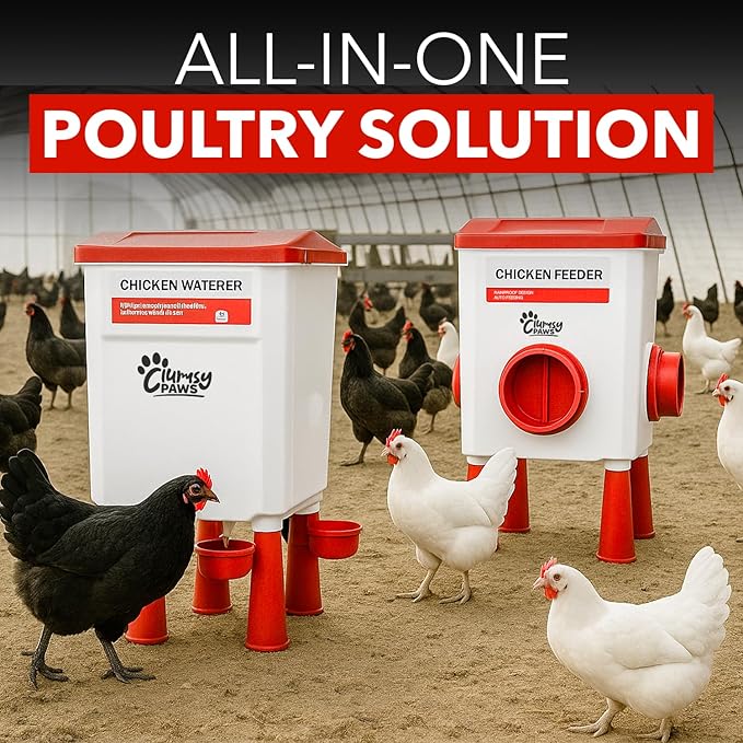 Large Chicken Water Feeder Set, Adjustable 3 in 1 Poultry Feeder with Short & Long Legs & Hanging Hook, 11L Chicken Waterer & 26.5lb Chicken Feeder Port, No Waste Design for All Poultry Sizes