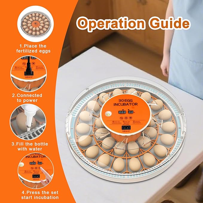 30 Egg Incubator with Automatic Egg Turning and Humidity Control,360 Degree View with Clear Window, Incubators for Hatching Eggs, Chicken, Ducks, Goose, Pigeon, Quail, Parrot