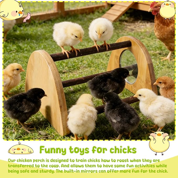 Mini Chick Perch with Mirror, Natural Willow Wood Roosting Bar for Coop&Brooder, Anti-Slip Training Perch for Baby Chicks, El Pollitos, La Pollita, Easy to Assemble&Clean, Fun Toys for Chick