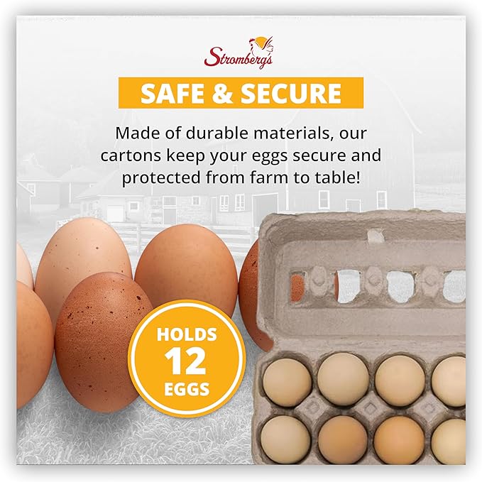 Stromberg's Fresh Grade A Jumbo Printed Egg Cartons, Biodegradable and Eco-Friendly, Made From Recycled Materials, With Educational Prints for Safe Handling Instructions and Nutrition Facts, 200 Pack