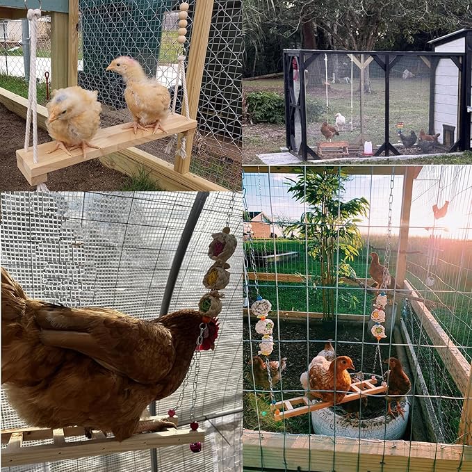 8pcs Chicken Toys Set Chicken Toys for Coop Accessries Chicken Swing Chicken Xylophone Mirror, Vegetable Hanging Feeder for hens Chick