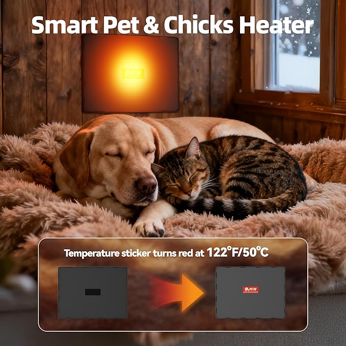 PETNF Brooder Plate for Chicks, Chick Heat Plate 11.8”×15.8” 140W, Adjustable 95–167°F Safe Warm Panel for 10–20 Chicks, Energy-Efficient Brooder Heater with 3-Way Height Stand for Chicken Coops