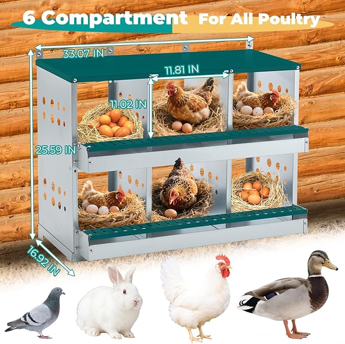 Chicken Nesting Box 6 Compartments, Metal Chicken Laying Boxes Wall Mountable, Easy Egg Collection Roll Away Nesting Boxes Chicken, Chicken Coop Nesting Boxes for Hens Laying Eggs