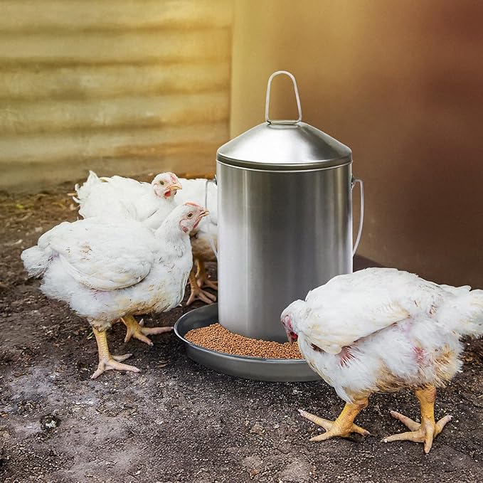 Plexon 6.6 Lb Poultry Feeder Stainless Steel Hanging Chicken Feeder no Waste Food-Grade with 6 Gallon Galvanized Storage Bucket with Locking Lid for Bird Seed Chicken Feed, Bundle