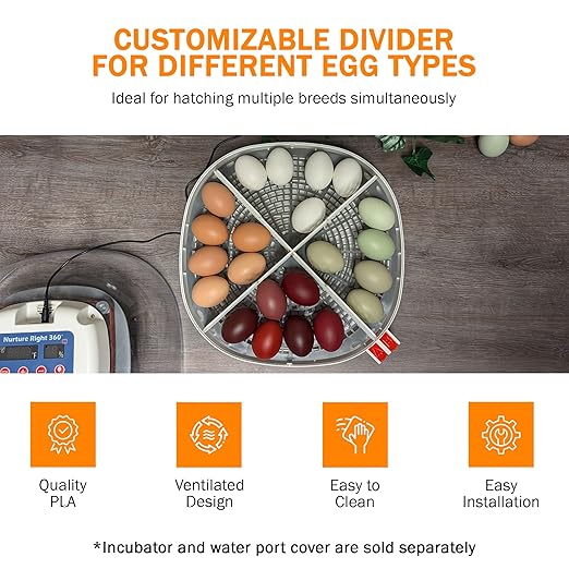 Incubator Warehouse Hatch Divider for Nurture Right 360 Egg Incubator - Egg Incubator Divider with Mesh Design - Easy Install Egg Divider - Nurture Right 360 Divider for Chicken Quail Goose Duck Eggs