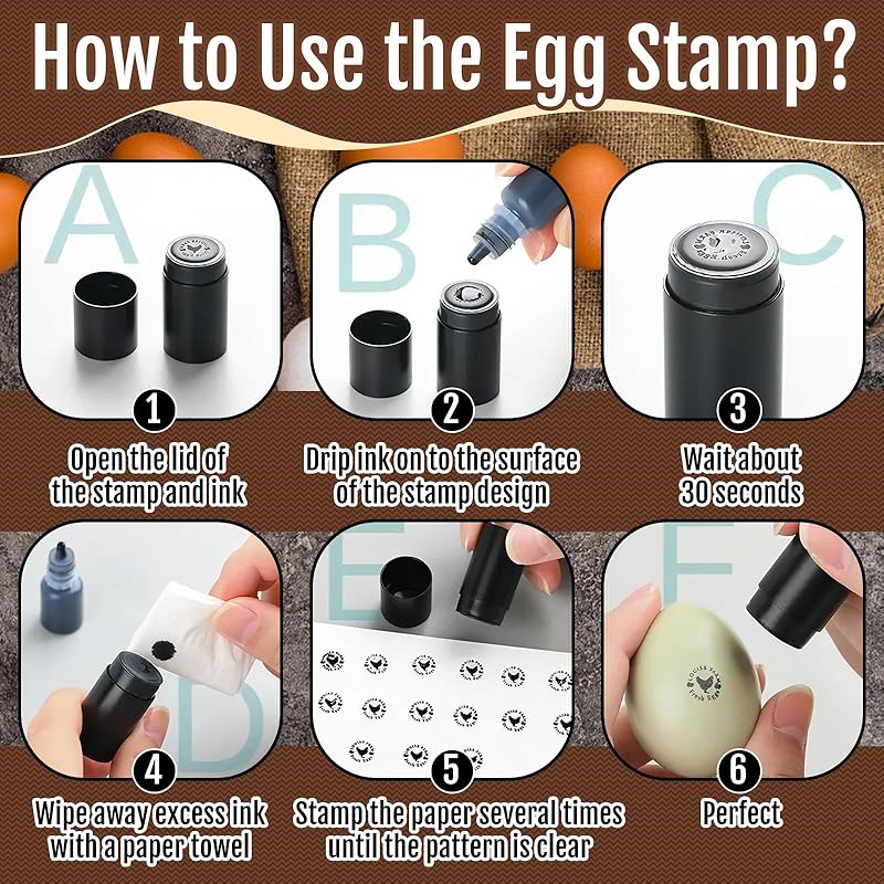 Personalized Egg Stamp with Metal Storage Case, Custom Text and Logo, Reusable Farm Egg Stamp, Chicken Coop Gifts, Fresh Egg Stamp, Birthday Gifts for Farmer, Breeder, Chicken Owners