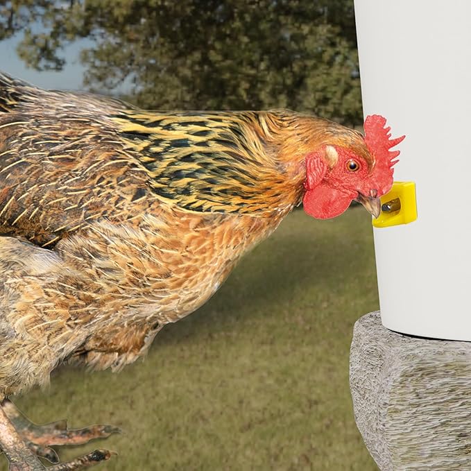 Chicken Waterer Nipples, Horizontal Side Mount, Anti-Leak Automatic Water System for Poultry, Suitable for Chickens, Duck, Quail, Pack of 20, Includes Drill Bit & Installation Tool