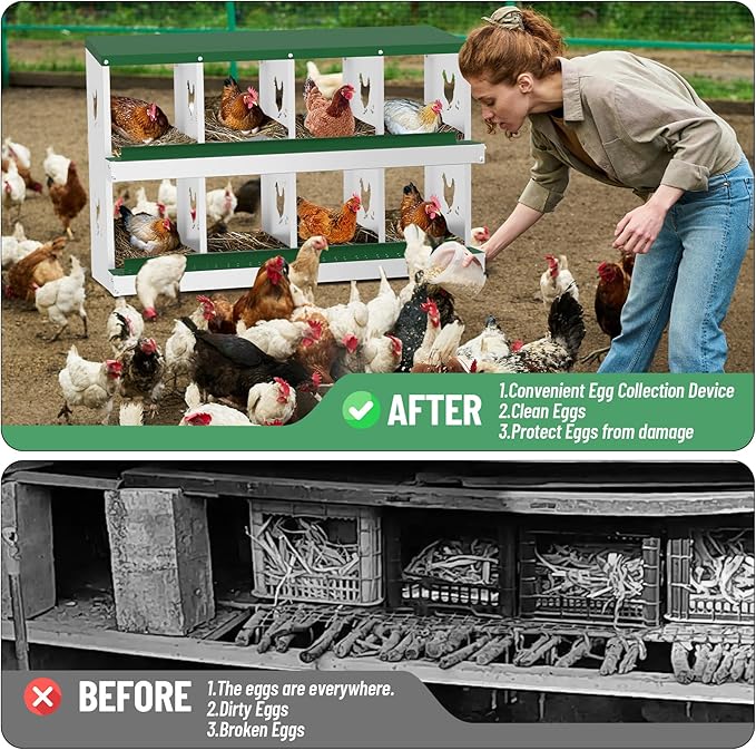 Chicken Nesting Box,8 Compartment Metal Poultry Nest Box Wall Mount, Metal Roll Away Eggs Laying Boxes, Easy Egg Collection, Easy Cleaning,10 Room Chicken Coop for Hens