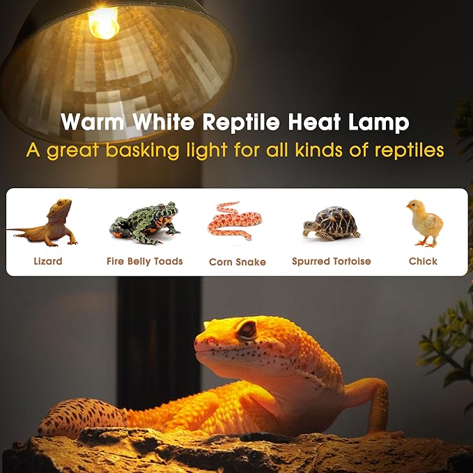 Briignite Reptile Heat Lamp 50W G9 Halogen Heat Bulb & Dome Reptile Light Fixture, Aluminum Reflector, UVA Basking Light for Reptiles, Dimmable Heat Lamp for Chicken Turtle Snake Gecko Lizard