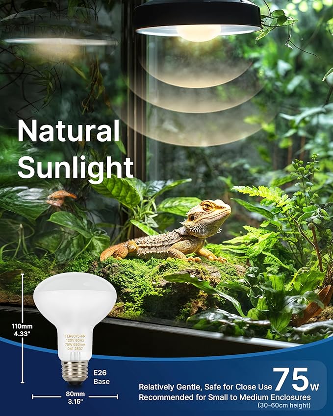 FLSNT 2 Pack Reptile Heat Lamp Bulbs, 75W Basking Light for Amphibian, Bearded Dragon, Lizard, Tortoise, Gecko