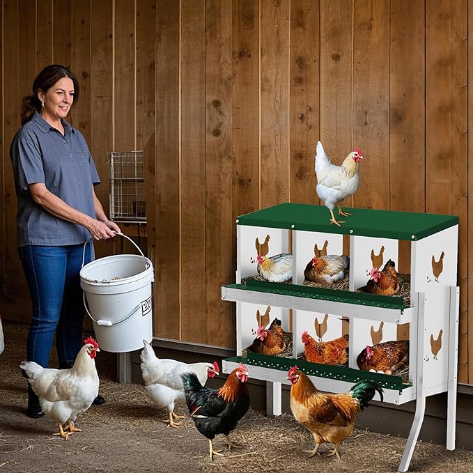 Chicken Nesting Box, 6 Hole 2 Layer Hen Nest Boxes with Legs, Roll Away Eggs Laying Boxes,Cleanable Pull Out Hen Roosting Boxes，Green