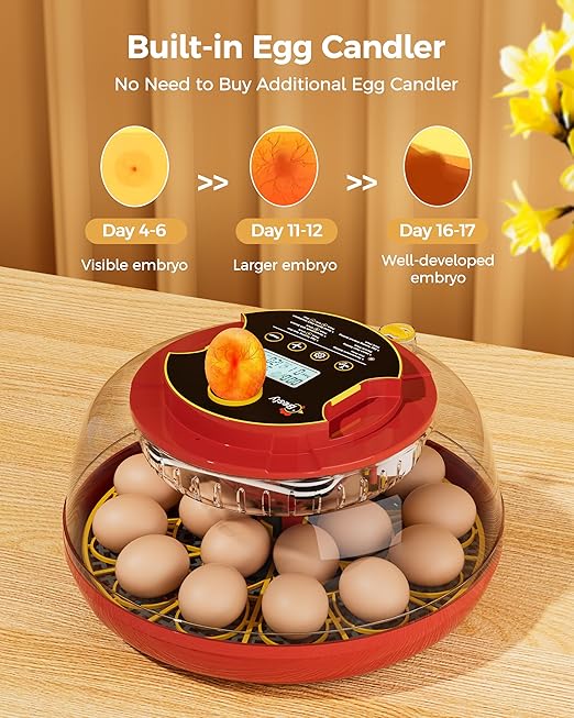 Egg Incubator, Automatic Egg Incubator, 18 Egg Incubator, Incubator for Hatching Eggs, Chicken Egg Incubator – Temperature & Humidity Control, Auto Turner, Alarm & Candling for Backyard Home