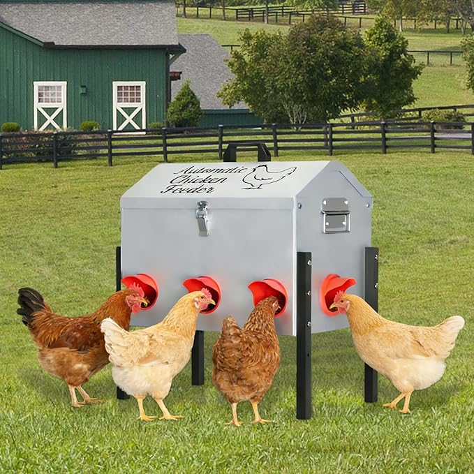 50LB Automatic Chicken Feeder, Metal Chicken Feeder with Window, No-Waste Poultry Feeder with 8 Feeding Ports, Adjustable Height, Locking Lid & Weatherproof Design for Outdoor Coop