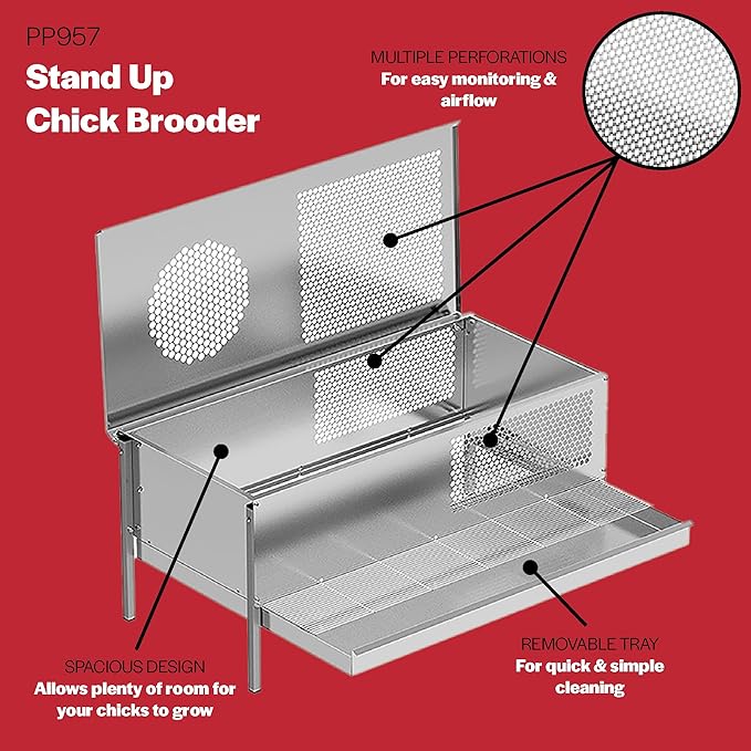 Stromberg's Stand-Up Chick Brooder, Durable Galvanized Steel & Wire, Ventilated Poultry Habitat, Easy Cleaning & Maintenance, Holds Up to 50 Chicks, Heat Lamp Stand Included (Lamp Sold Separately)