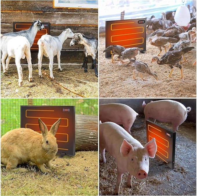 PINNKL Chicken Coop Heater for Winter, 2x100W Dual-Sided Heating Chicken Coop Heater with Independent Switch and Digital Display, for Inside and Outdoor Pet(50x40cm)
