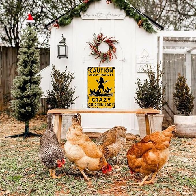 Caution Area Patrolled by Crazy Chicken Lady- Funny Chicken Signs for Farm Yard Fence Chicken Coop Decor 8x12 Inch