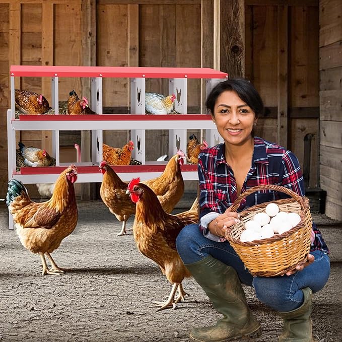 Chicken Nesting Boxes for Hens - 6&8&10 Compartments Roll Away Chicken Laying Boxes with Sturdy Metal Legs & Protective Lid Cover, Durable Galvanized Steel Construction, Easy Clean Design