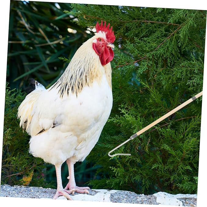 Happyyami Chicken Accessories Chicken Catcher Hook for Chicken Poultry Hanging Hooks Animal Catch Net for Chicken Legs