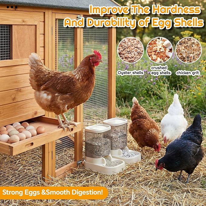 2 Pcs Chicken Oyster Shell Feeder and Grit Feeder Combo Automatic Chicken Coop Accessories for Poultry Farms Quail Pigeons Doves Chicks Rust Prevention with Installation Tools Sticker