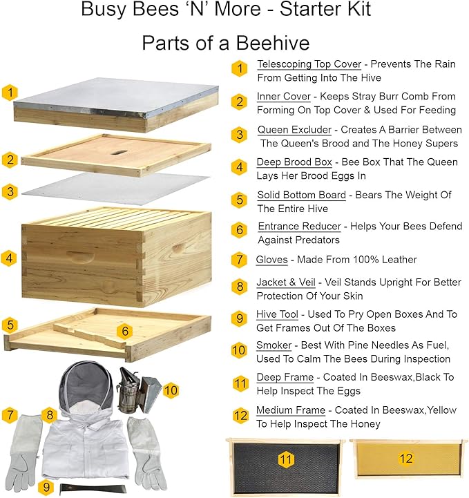 Amish Made in USA Complete Langstroth Beehive - The Starter Kit (Full Hive with 1 Deep & Accessories)