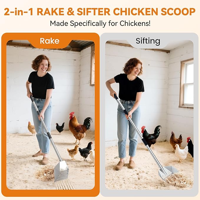 Chicken Poop Scooper: 2-in-1 Rake & Sifter - Silver Chicken Poop Shovel for Sand with Adjustable Stainless Steel Handle (35-59") for Small Spaces