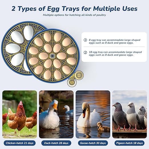 Incubator for Hatching Eggs with Automatic Egg Turning & Temperature/Humidity Control, 18 Egg Incubator for Chicken/Quail/Duck/Goose Eggs
