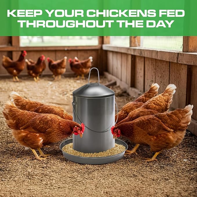 Plexon Automatic Chicken Feeder 2.9KG/6.6lbs – Heavy-Duty 304 Stainless Steel Poultry Feeder, Rust-Proof, Top-Fill Design, Easy to Clean, Weather-Resistant