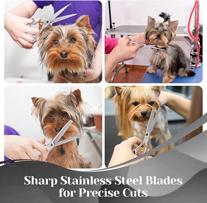 Dog Grooming Scissors Set – 6 in 1 Silver Pet Grooming Kit with Curved, Thinning, Chunker & Straight Shears + Comb – 440C Stainless Steel, Sharp & Durable for Dogs & Cats
