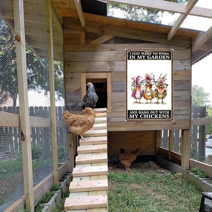 Funny Chicken Signs Chicken Coop Signs I Just Want To Work In My Garden And Hang Out With My Chickens Tin Signs for Home Farmhouse Garden Decor (8 X 12 Inch)
