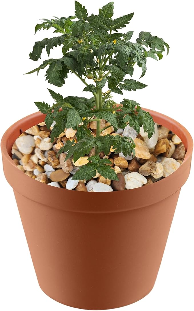 Versatile River Rocks & Garden Stones for Outdoor Landscaping - Ideal Decorative Rocks for Plants Indoor & Outdoor, Pea Pebbles, Landscaping Stones. Half-Quart