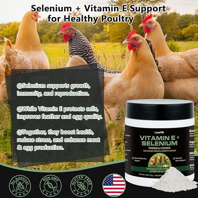 Selenium & Vitamin E Powder for Chickens, Selenium for Chickens, Immune System, Muscle Support & Prevents, Improve Wry Neck, Selenium, Vitamin E Supplements, Suitable for All Poultry
