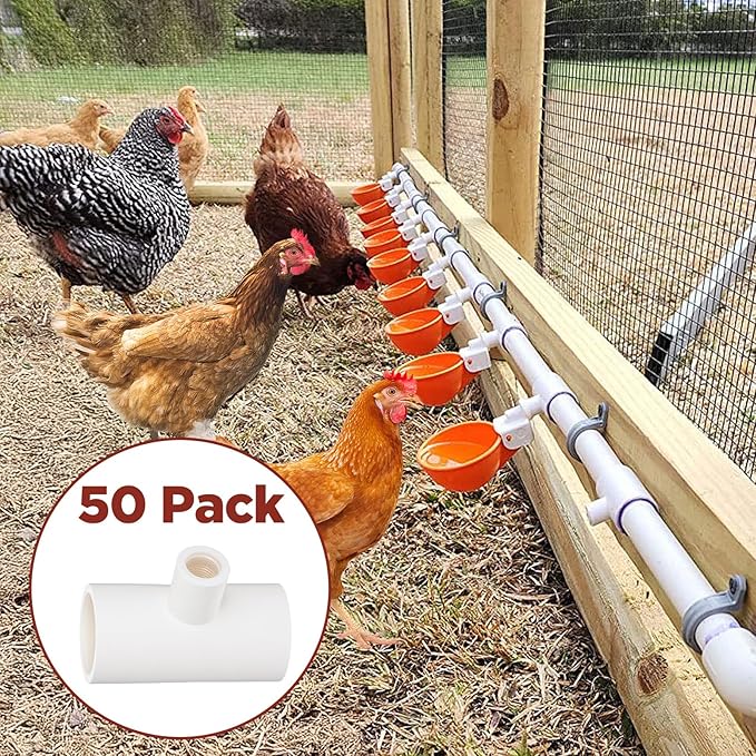 50 Pack PVC Tee Fittings for Chicken Waterer - Threaded Connectors for Poultry Nipples, Automatic Chicken Water Drinker Cups and Feeder Systems, Durable & Leak-Proof (White)