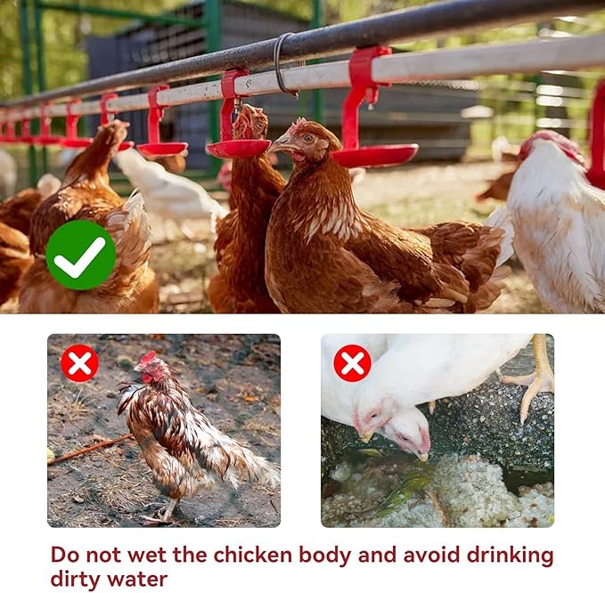 Chicken Waterer Nipples, 100Pcs Automatic Chicken Waterer Poultry Waterer Poultry Drinking Nipples Chicken Water Feeder Water Saving Outdoor Poultry Watering System