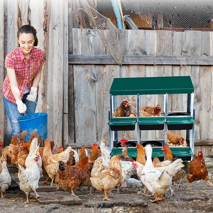 Metal Chicken Nesting Box, 6 Compartments Chicken Egg Laying Box, Chicken Coop Nesting Box, Chicken Nesting Box with Roll Up Design Lid, with Stand, Green