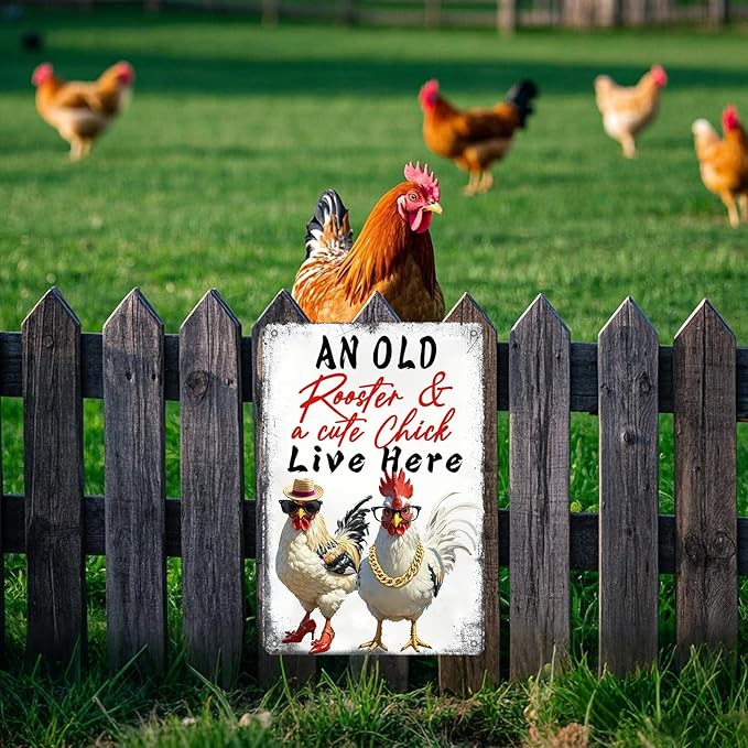 Chicken Metal Signs Chicken Coop Accessories Tin Sign Rooster Wall Decor Vintage Style An Old Rooster And A Cute Chick Live Here Tin Plaque For Farmhouse Garden Gate Fence Yard Decor 12x8 Inch