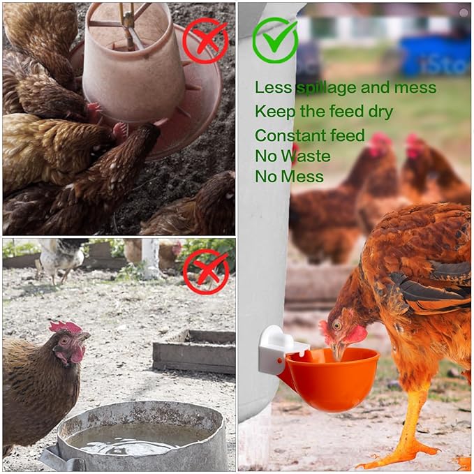6-Pack Automatic Chicken Waterer Cups - No Waste Poultry Watering Solution for Chicken, Duck, Goose, Turkey with Easy Mounting System